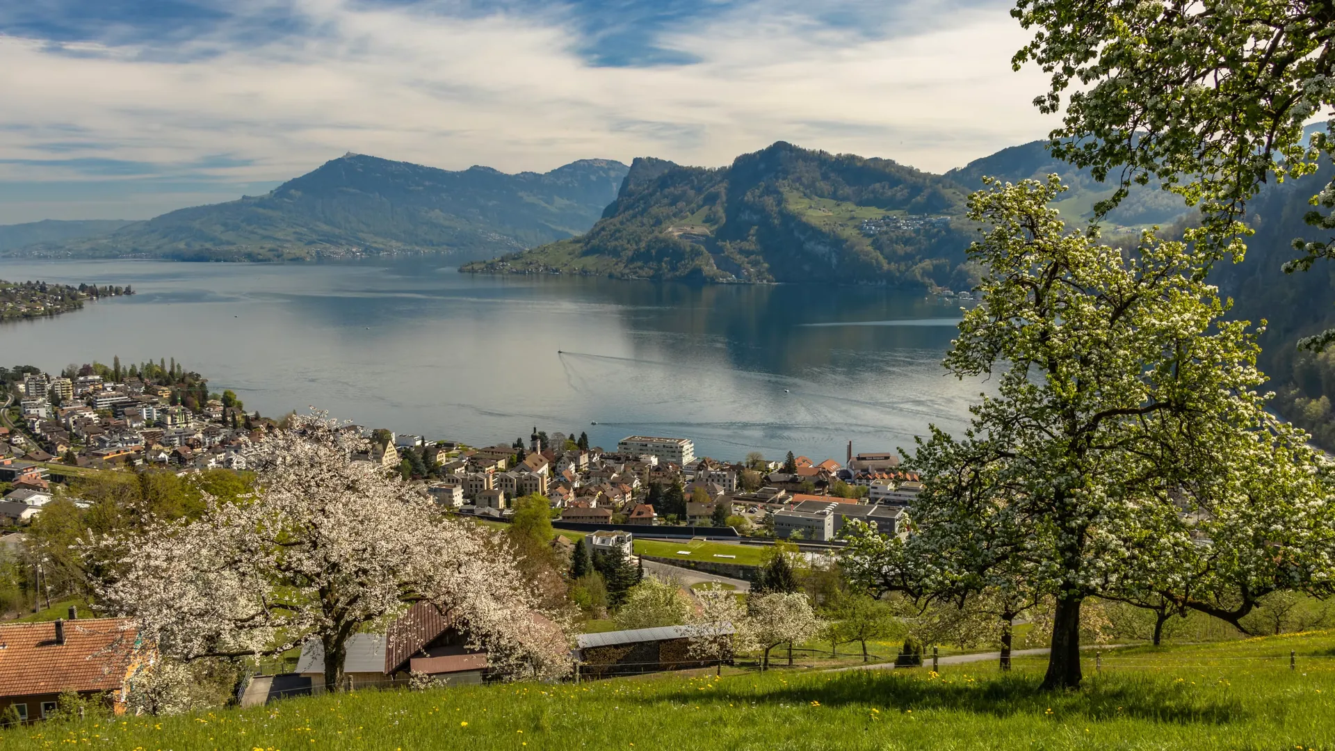 Panoramablick auf einen See, Berge und Häuser, eingerahmt von Bäumen.